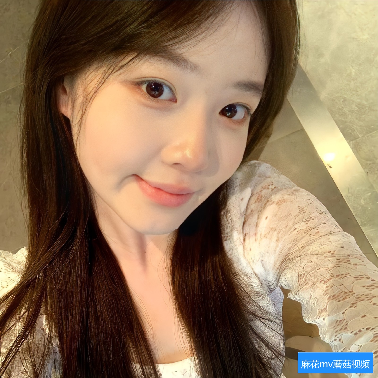 麻花MV、果冻MV、梦幻MV和蘑菇MV有哪些不同之处？如何欣赏这些风格多样的音乐视频